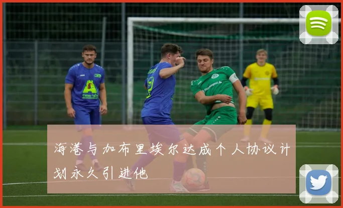 海港与加布里埃尔达成个人协议计划永久引进他