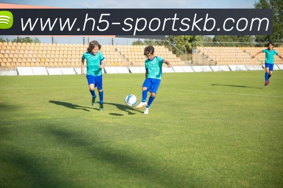 KB体育发展历程